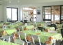 19 VILLAGGIO CAMPEGGIO LAMAFORCA
