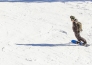 5 HOTEL EXCELSIOR   SAN MARTINO DI CASTROZZA