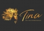 TINA_HH_Icon_quer_ab_40x30 Hamburg Das Tina Turner Musical @ Stage Entertainment GmbH 