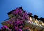 HOTEL VILLA GALEAZZI 03