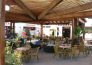 9 HAPPY CAMP   CAMPING VILLAGE INTERNAZIONALE MANACORE   PESCHICI