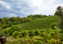 hotel conta   pieve di soligo 21
