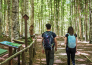 toscana wellness resort   arcidosso 22