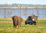 5 TOUR IL MEGLIO DI SRI LANKA 